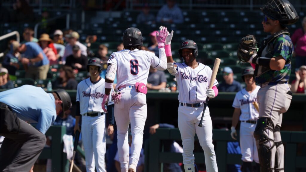 Homers Lift Fisher Cats Over Yard Goats on Mother’s Day » Nashua Ink Link