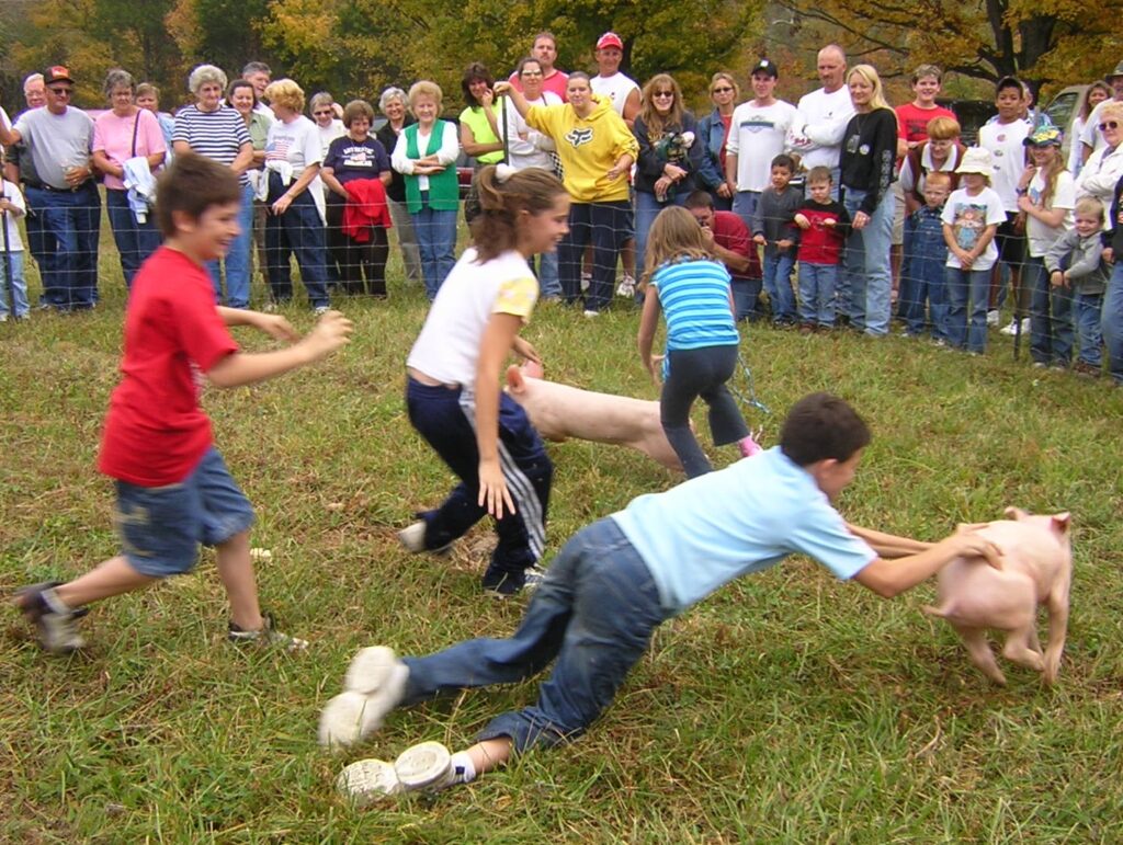 pig scramble